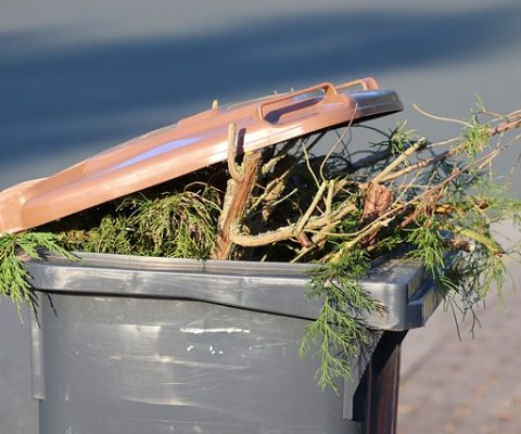 Abgabemöglichkeit von Restabfällen an den Wertstoffhöfen und Beendigung der Tonnenbewirtschaftung durch die Gemeinden ab 01.01.2026
