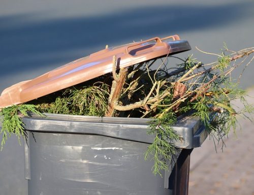 Abgabemöglichkeit von Restabfällen an den Wertstoffhöfen und Beendigung der Tonnenbewirtschaftung durch die Gemeinden ab 01.01.2026