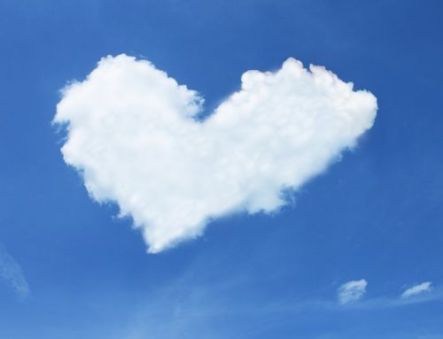 Herzlichen Dank für die Unterstützung bei der Kommunalwahl 2026!