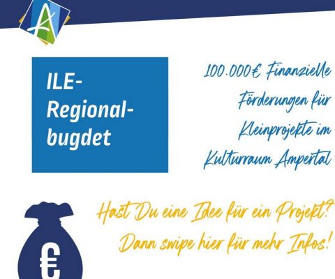 ILE Regional-Budget