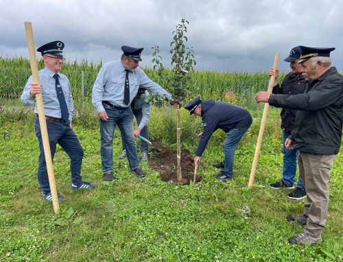 Baumpflanz-Challenge 🌳 des Krieger- und Soldatenvereins Kranzberg