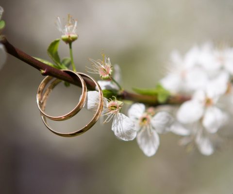 Fundsache: Ehering am Kranzberger See gefunden