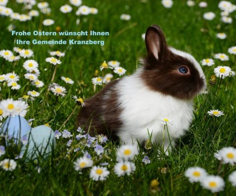 Frohe Ostern wünscht Ihnen Ihre Gemeinde Kranzberg