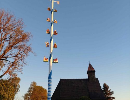 Der Maibaum in Kranzberg, Hohenbercha und Giesenbach steht!