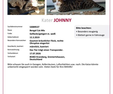 Kater Johnny wird in Gremertshausen vermisst